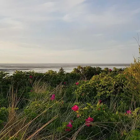 Residenz Pavillon アパート