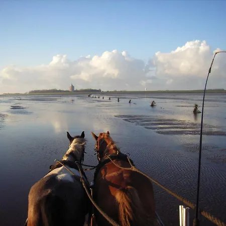 アパート Residenz Pavillon *